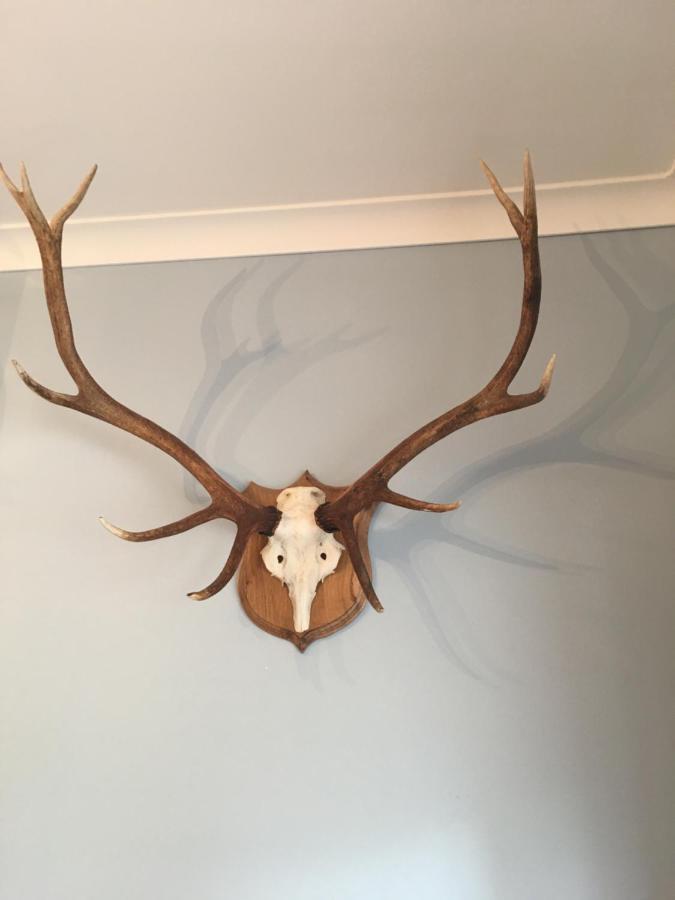 The Guest Suite At Daviot ,Inverness Esterno foto