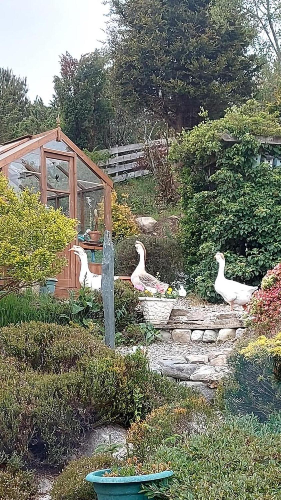 The Guest Suite At Daviot ,Inverness Esterno foto